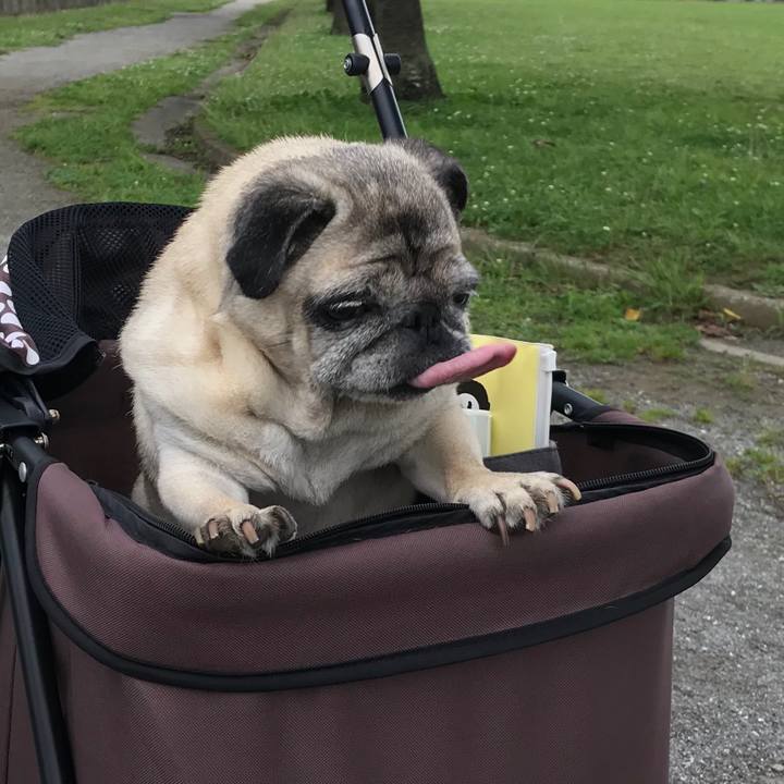 C880faed 0588 469f 8e1d e4173a9ca0df 1593996858933