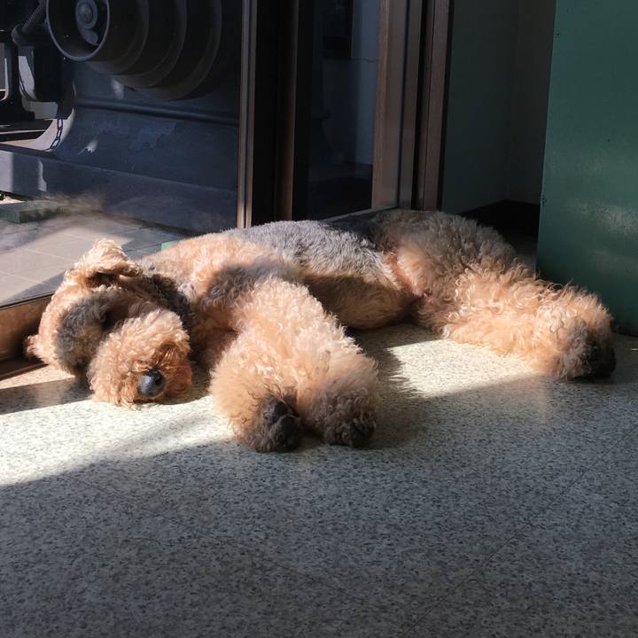 C880fc34 7f3b 4c18 8d81 6d71ecba5a1e 1541766661506