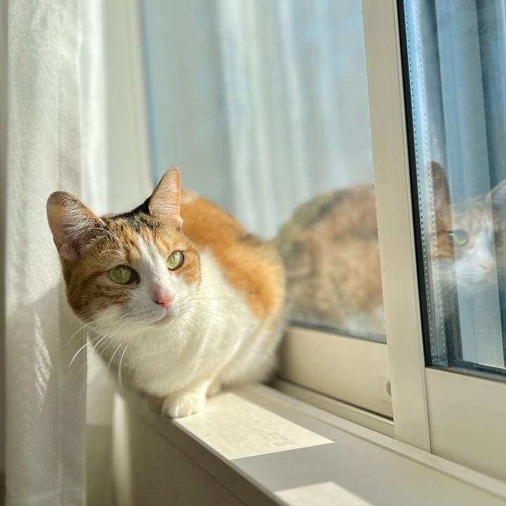 C8810cc8 d136 4c6c 91b3 05f71909b690 1773286904020