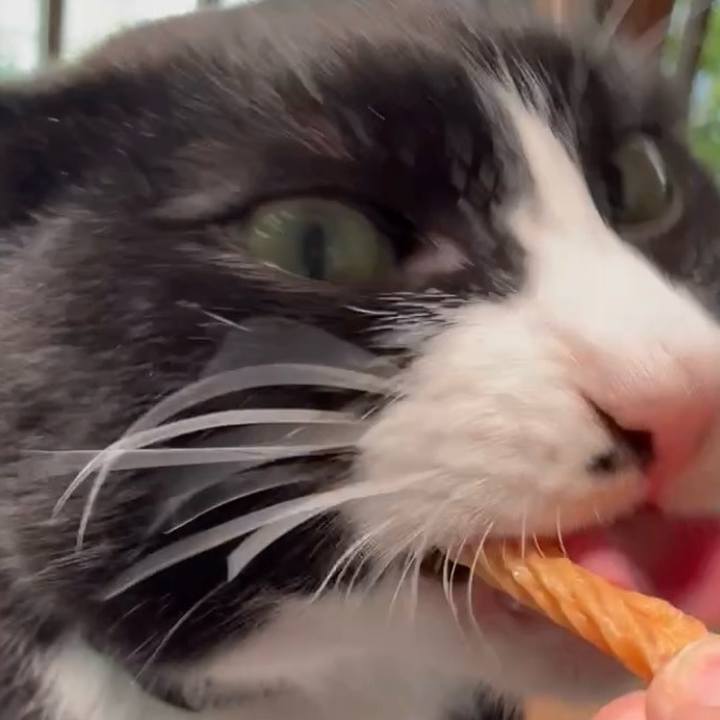 C88154f4 8b1e 4eec 947a a084691cec3c 1746847013960