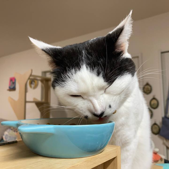 C881bb33 8ee6 46ba a8d2 fc10fba24dd3 1769460169816