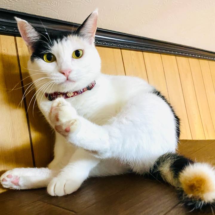 C881d02c 3948 4534 b993 6f8b29fc327e 1664030875627