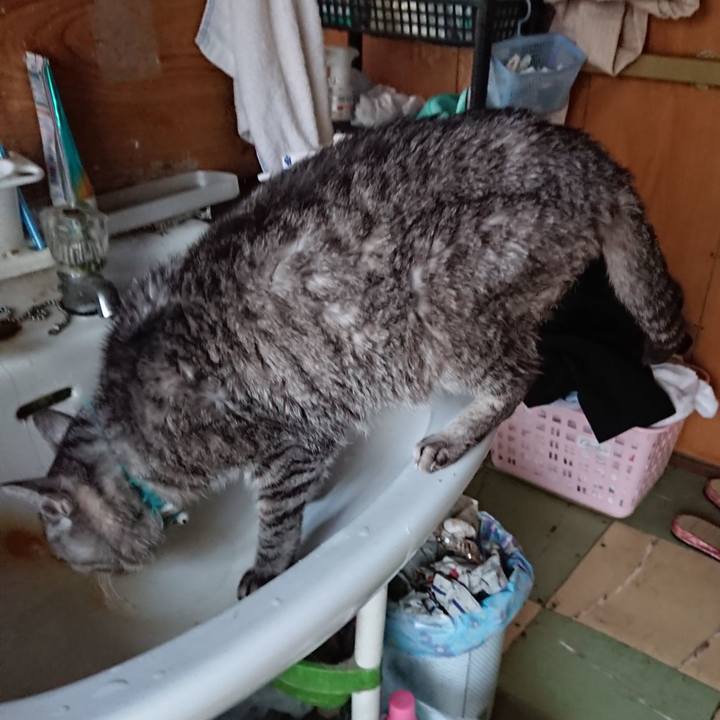 C8823f14 dcf1 449c bf2e cc68371515ae 1573854582713