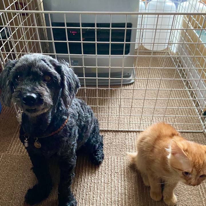 C88248b3 c906 404d 9556 bd015c7b7739 1585455979738