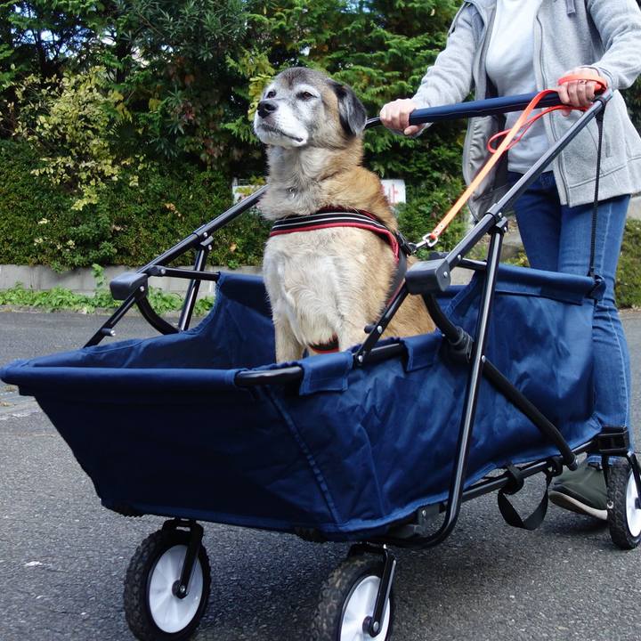 C8827e1d 4bb6 4504 b6c9 49e32330b488 1576323699331