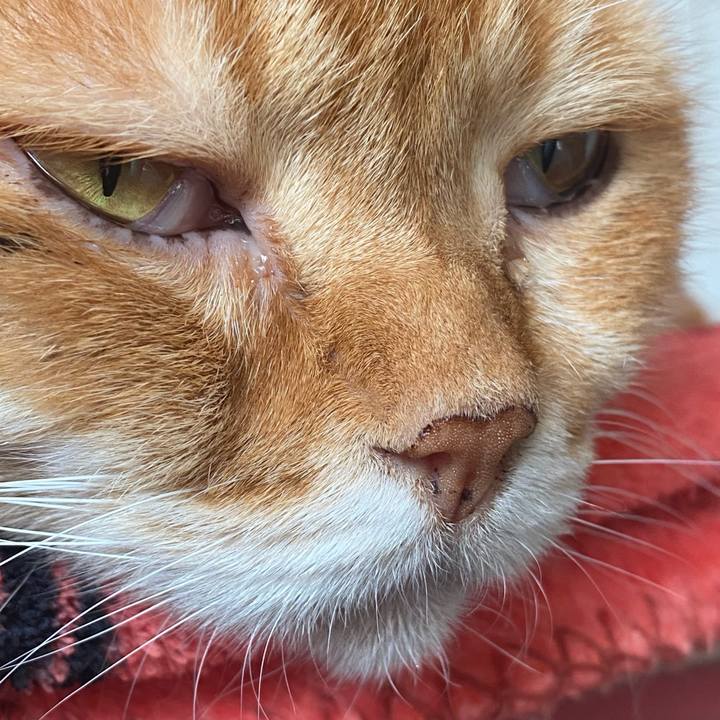 C882cf0c ad18 41bd 8226 06feb0c2edef 1636858916120