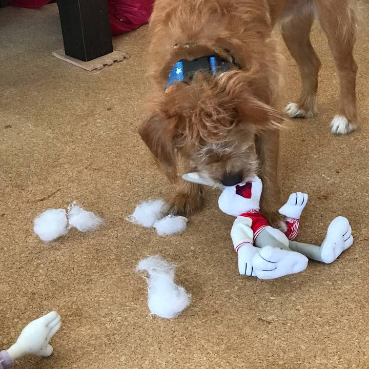 C882ef50 2726 4a95 9716 c40b15196430 1599649315429