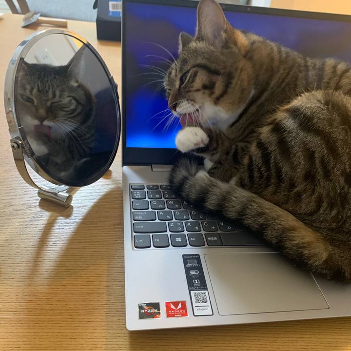 C8831d6e d5d3 4bd1 9971 57d59a96de27 1604448150818