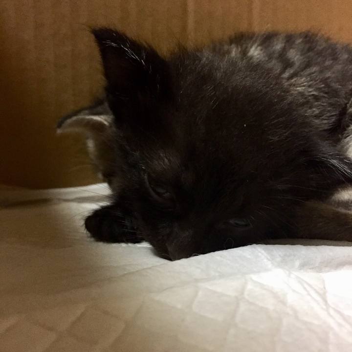 C8832e0e a3d1 4f8f a5a4 a32da390ef77 1532480655358