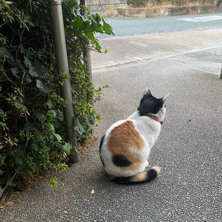 C8836396 73fb 4aaf 9039 3b2c6a50751e 1639606510509