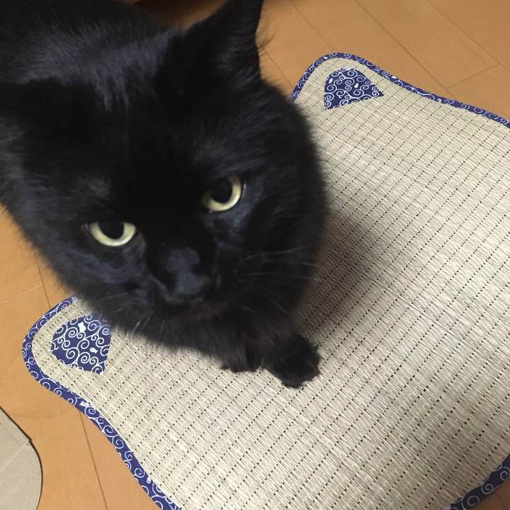 C8836c88 2cc4 4b08 9e7b 254047ada047 1531831985439