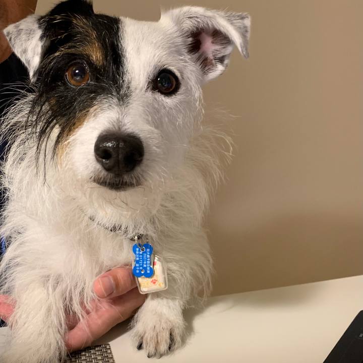 C8837f04 48e4 46ff 8cf3 495f81b25466 1627473197328