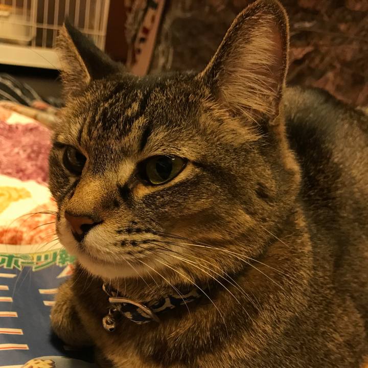 C8838190 3c0f 403a bc98 27e0efb1c2c7 1552828427728