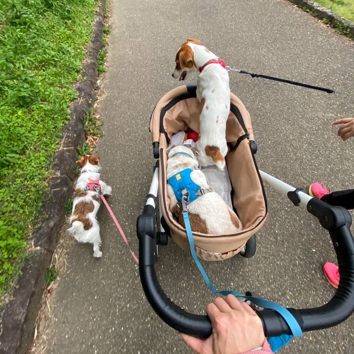 C883ce18 d4b0 455a b04c 5ea133293b43 1716726541317