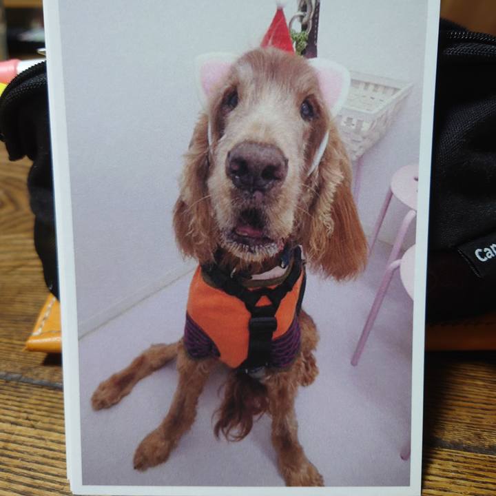 C883ed48 1d46 4fac 92e4 a8516ad7977e 1749536698671