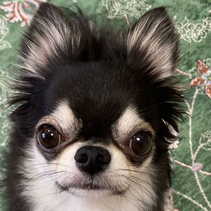 C883f114 6630 41d0 b1e0 76e312a38dd9 1658616738189