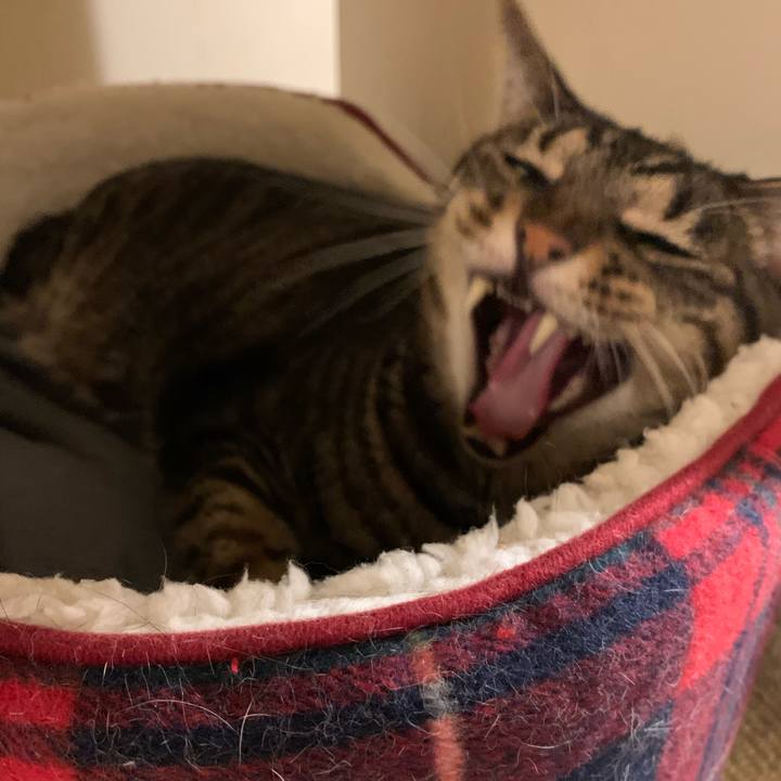 C88460cc 892d 468b ad78 16eba4916527 1571665872461