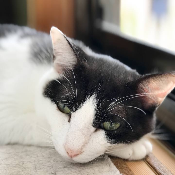 C8847122 db72 478e 8d99 73148def5cdc 1530367332446