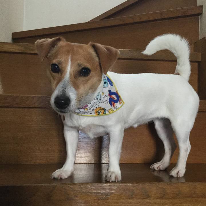 C8847568 39ad 44e3 af24 fc2a06d59416 1555628814667