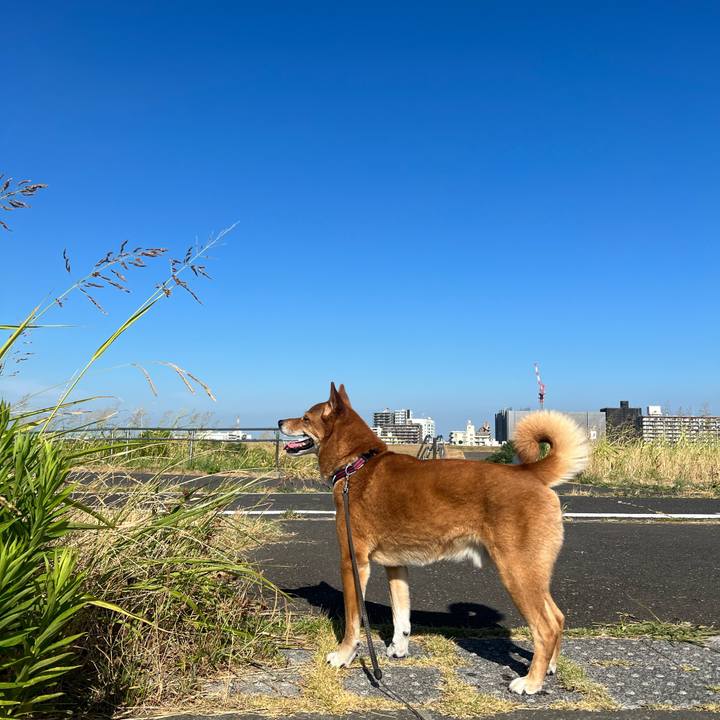 C88475ce b547 4486 ae41 70fe9715ada4 1690590780113