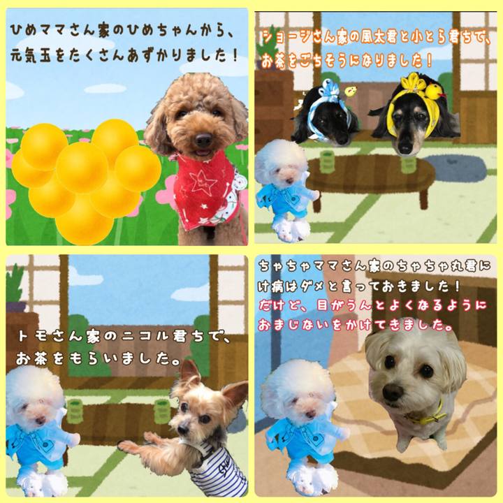 C884a7dc ae9a 4ce8 bc4c 386ad810d174 1531991386974