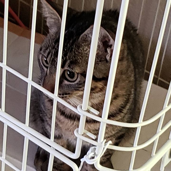 C884ed97 9061 4745 89fc af10b427a764 1542416812699