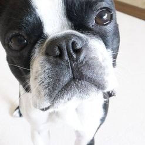 C885058c 9e9b 4700 b403 f493c904349f 1523593425713