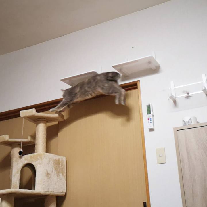 C88518d8 f8c4 46f3 a261 371986aedb9d 1575765097773