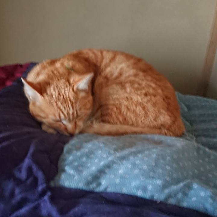 C8853c66 fd22 4cf0 8fac edc1420a299b 1585962229232