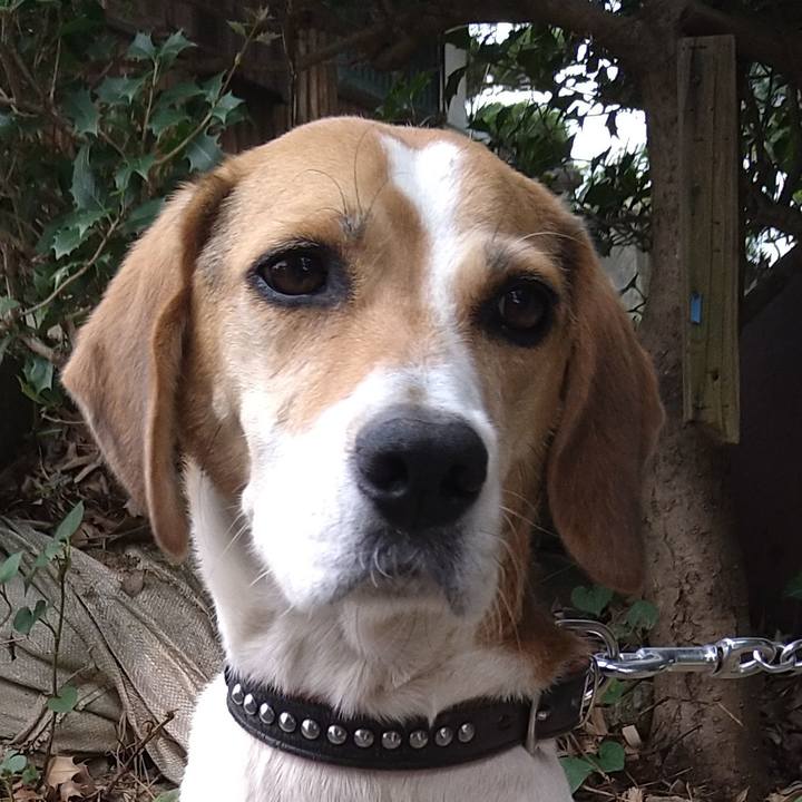 C8856813 4150 4053 97fd 5931faeadf28 1643891963643