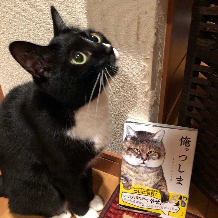 C8856be2 176c 4ba9 bc89 cd8d3959807e 1525815143153