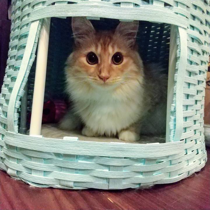 C88577f1 07d0 4b9e 86b9 afcf647b35de 1623937704532