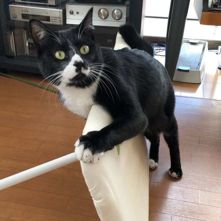 C885c775 8f37 44bd 8b7b 37db74f1be2d 1543808249850