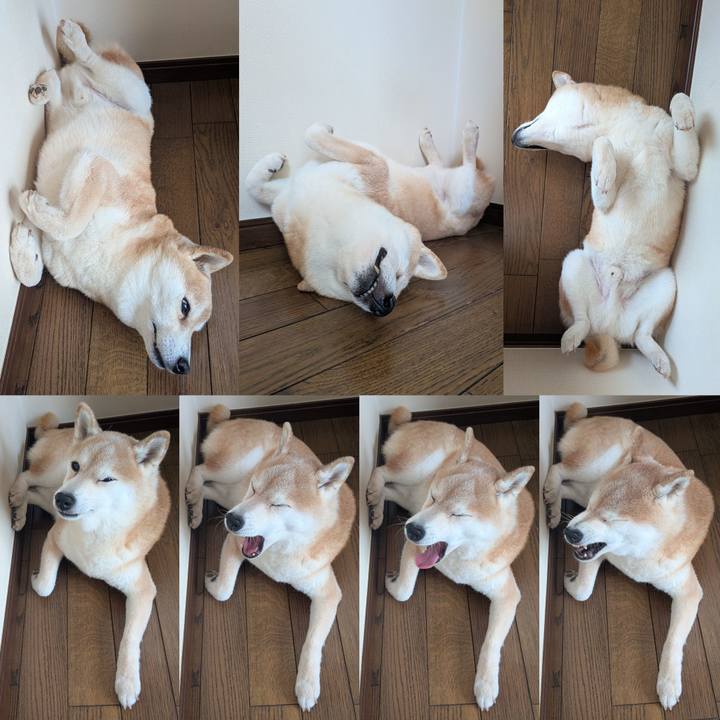 C885ea60 6434 453d 9200 9ef5c34c658c 1760594931009