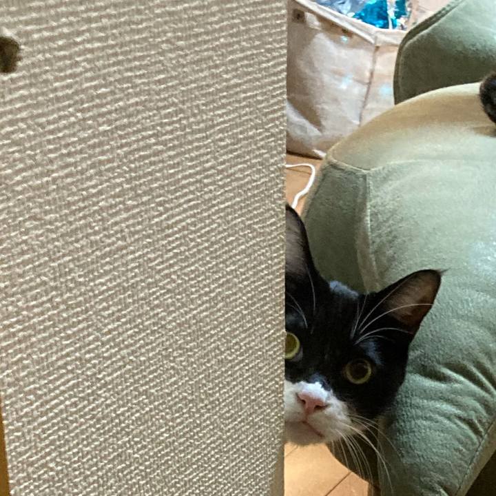 C885eb0a c814 4dcd 83ad ef11bba0f4a1 1762489681511