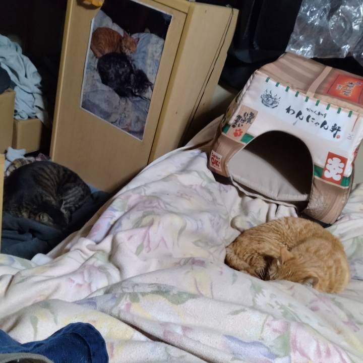 C886428b df46 4c94 82ec f44000074262 1682339575999