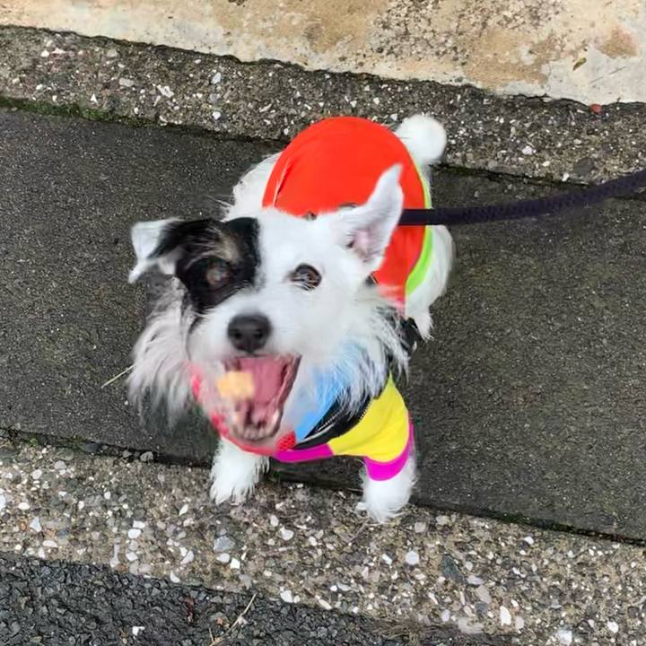 C88680bd 50c1 48a9 a202 5467aa1fb68a 1658222543224