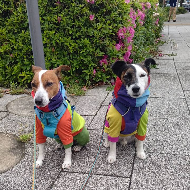 C8868894 6279 4b48 9ab8 a9ca7627b84c 1682820608962