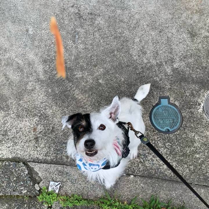 C88693b7 3173 413c 98db fdf8c14cd898 1687825700960