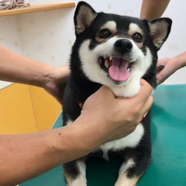 C886a713 a3d7 471a bb3f ea3581139ed9 1557980254158