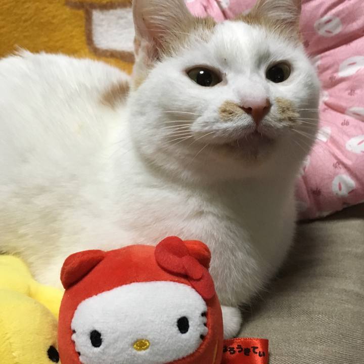 C886c91a 3fc5 4a67 bd6e 50f96c33950c 1549114896364