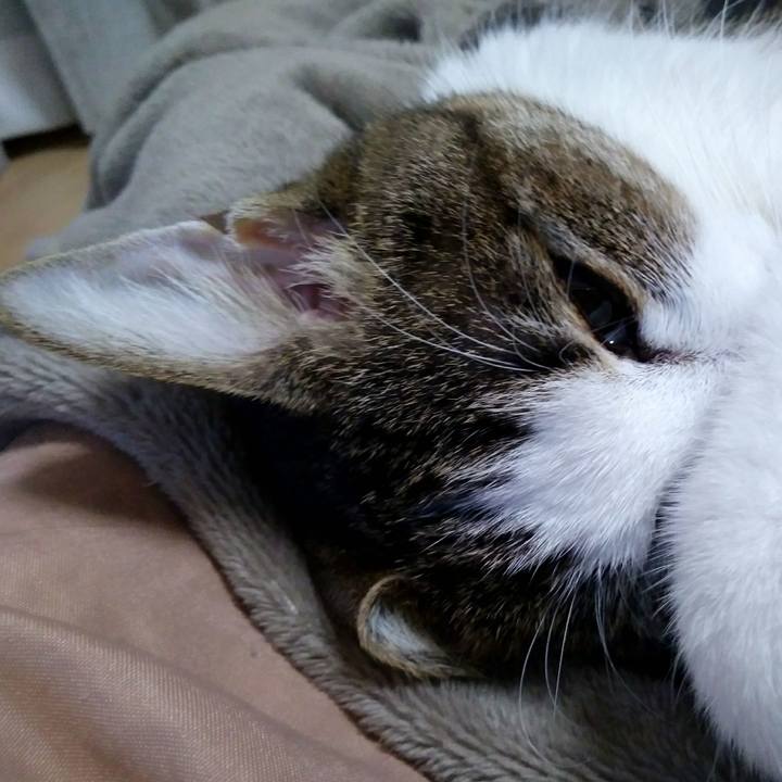 C886d625 f559 4233 b1b5 287cdd323f59 1548680953430