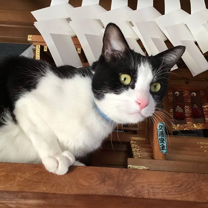 C886e152 5905 4124 8eb2 025e3363a192 1739182845089