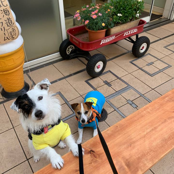 C887132d c48c 4a3e 9a03 4d9c98ae5006 1590219399315