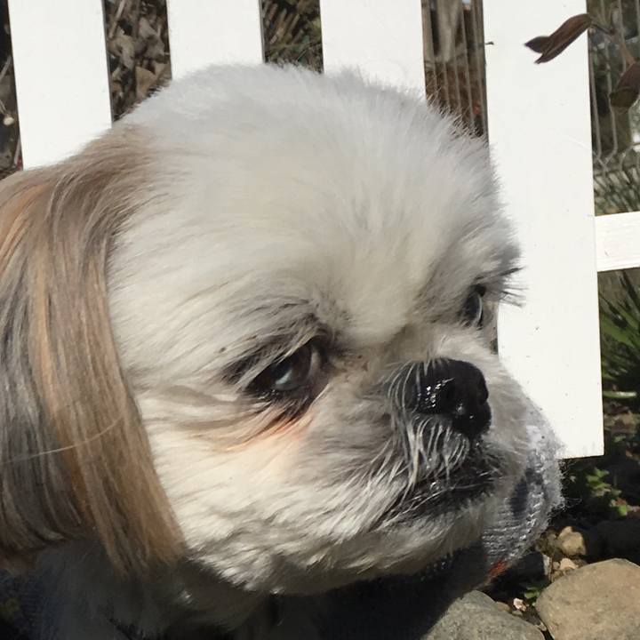 C8873b0f d28a 46da 8419 37f5d5565bb7 1544848056883