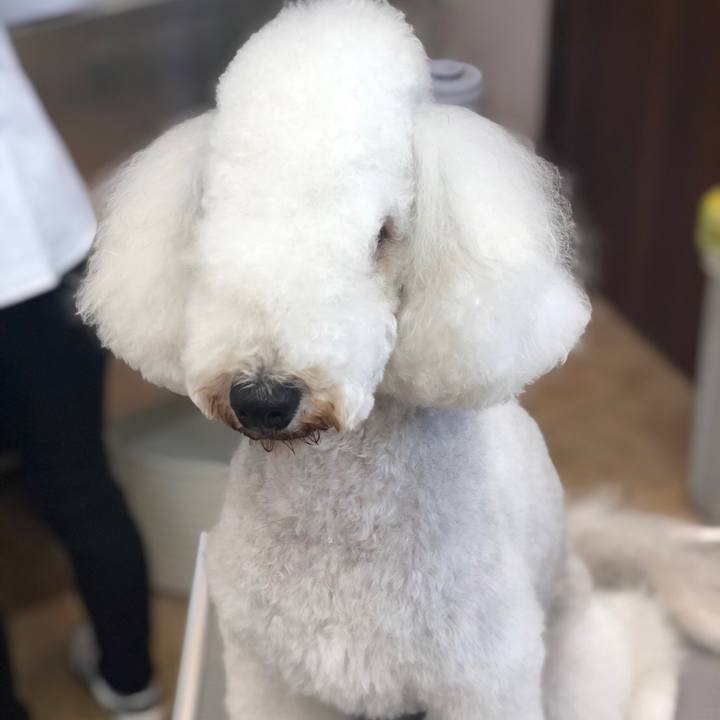 C8874641 e71c 431e 9243 aad005542146 1621749945002