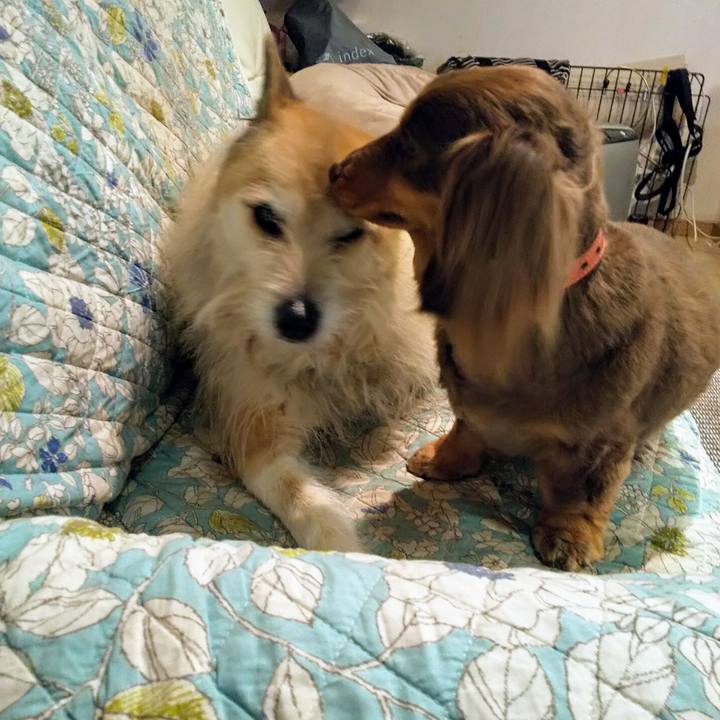 C88747d2 244e 40f5 9666 10921dd2d2c0 1553502603349