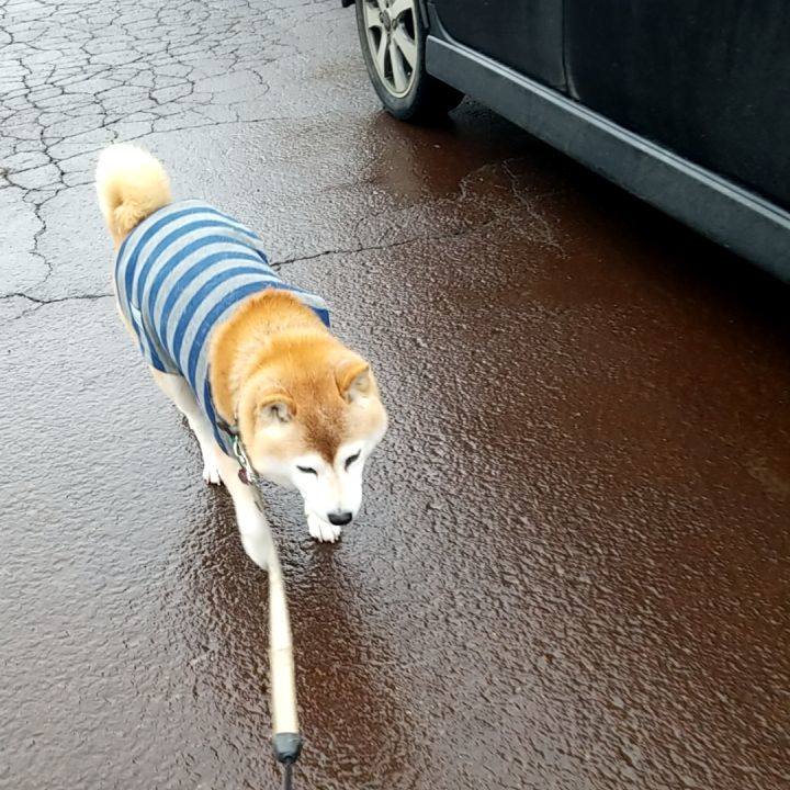 C8874dc9 ba2c 472b a55f 9cbb33cfd922 1703650580346