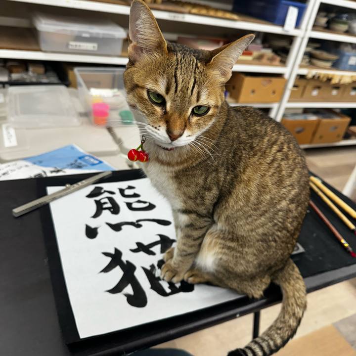 C8879076 153e 4a2c b734 f04c2cf74d07 1768204248465