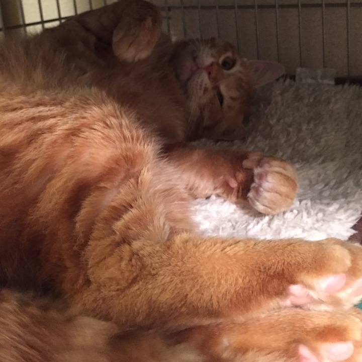 C8879096 6549 4d56 b8e0 f4a43c2007ac 1523449268196